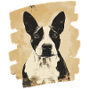 Bull Terrier Fighting Dog Dog Breed