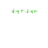Fern Nature Text