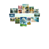 Nature's Beauty Collage