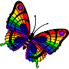 Rainbow Butterfly LGBTQ+
