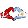 Turquie Argentine Drapeau Mains Coeur Forme Utilisé