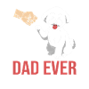 Bichon frisé Chien
