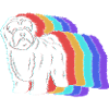 Havanese