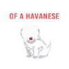 Havanese