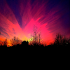 Sunset Violet Sunset Poster
