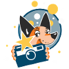 Chien Photographe 