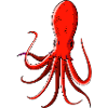 Pulpo