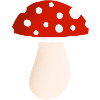 fly agaric mushroom