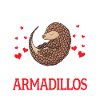 Armadillo Armadillo Armad