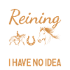 Reiner A Day Without Reining