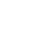 Reiner A Day Without Reining