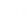 malle 2025 mallorca