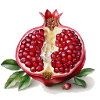 Pomegranate