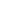 cicada