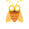 cicada