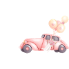 The Bride-to-be - Wedding Car