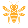 cicada