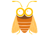 cicada
