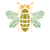 cicada