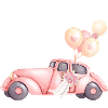 Bride's Team - Wedding Car
