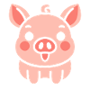pig