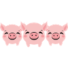 pig