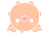 cochon