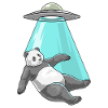 Panda Spaceship