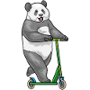 Panda Scooter