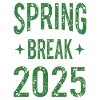 Spring Break 2025 Party Shirt