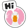 HI Goose
