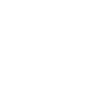 Reiner A Day Without Reining