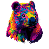 Wombat Australie Marsupial Mignon Wombat
