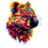 Wombat Australia Marsupial Cute Wombat
