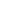 Wheelchair basketball