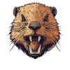 Wild Beaver