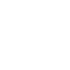 1949 Limited Edition
