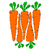 Carrots