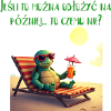 laid-back turtle