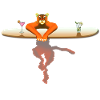 Cat on a surfboard