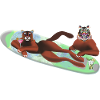 Tiger im Wasser