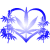 Heart of Cannabis