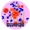 Summer Poppy