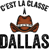 country, country fan, country music