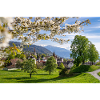 Spring magic in Zug