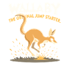 Wallaby Faune australienne Marsupial Nature