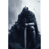 Poster Illustration Chevalier