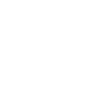 Diving Diver Definition
