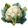 Cauliflower