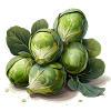 Brussels sprouts